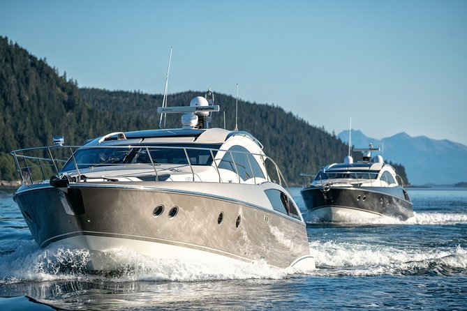 Private Luxury Whale Watch - Who should book this outing