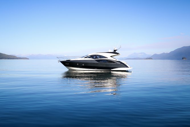 Private Luxury Whale Watch - Four hours on the water