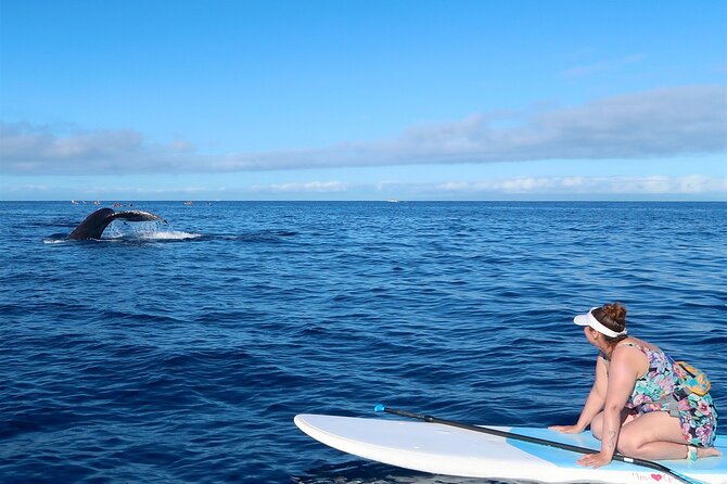 Private Paddleboard (SUP) Whale Watch: All Skill Levels Welcome - Why the private format matters at $189