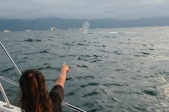 Private Tour 3 Hours of Whale Watching - Captains, language, and boat handling