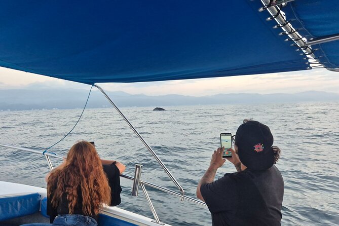Private Tour 3 Hours of Whale Watching - Who will get the most from this excursion