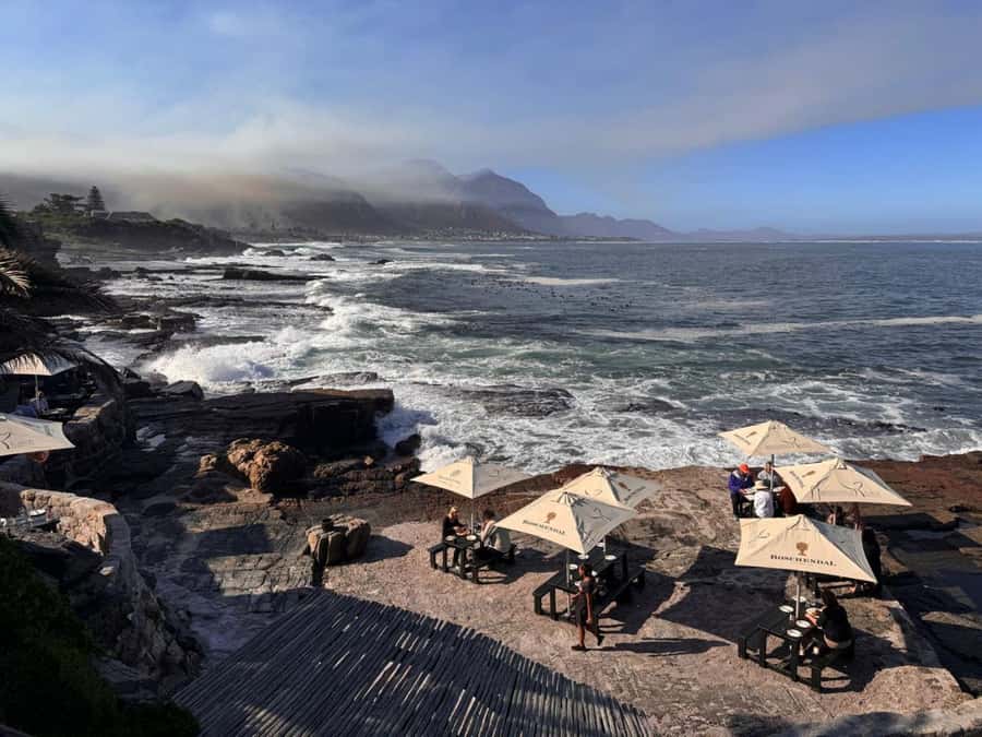 Private Tour: Hermanus- Boat Based Whale Watching Experience - Lunch with Hermanus sea views