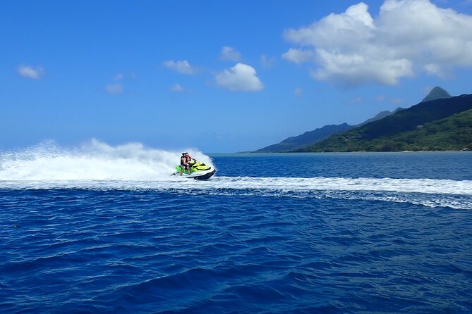 Private tour observing and swimming with humpback whales in Moorea - A private format with room to set the pace