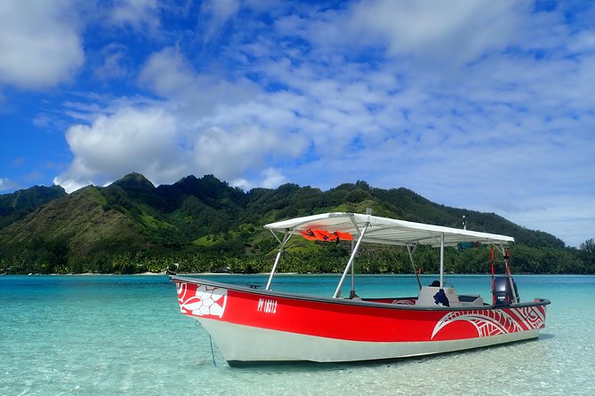 Private tour observing and swimming with humpback whales in Moorea - Who will get the most from this tour