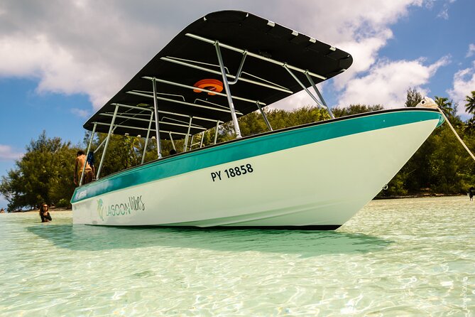 Private tour whale watching and snorkeling in Moorea - The snorkeling option requires genuine confidence