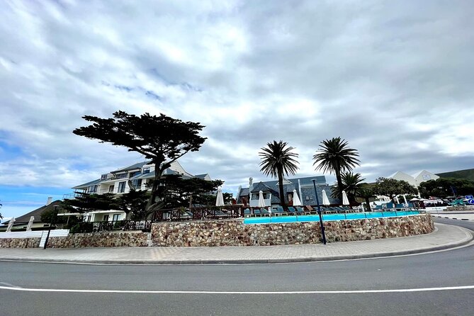 Private Tour: Whale Watching Shared Boat Trip from Cape Town - Lunch and wine in Hemel-en-Aarde