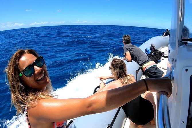 Private Whale Watching Adventure - Key points to know before you book
