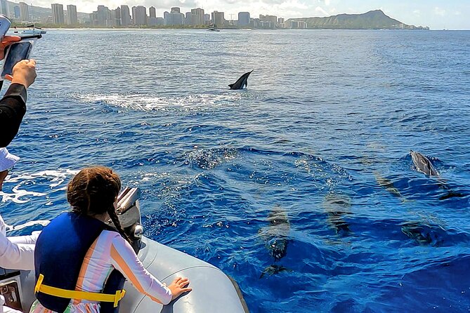 Private Whale Watching Adventure - Is $795 a good value?