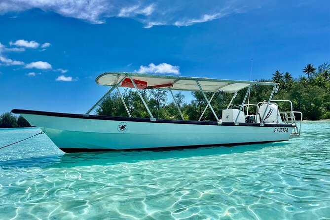 Private Whale Watching Adventure in Mo'orea - Entering the water with the whales