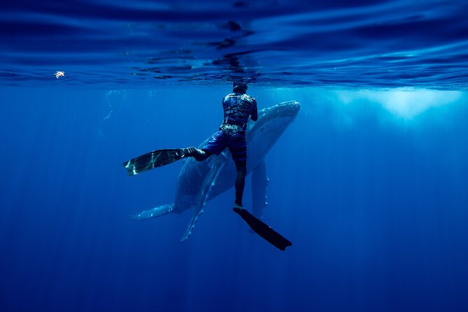 Private Whale Watching Adventure in Mo'orea - Starting at Plage de Tiahura at 8:00 a.m.