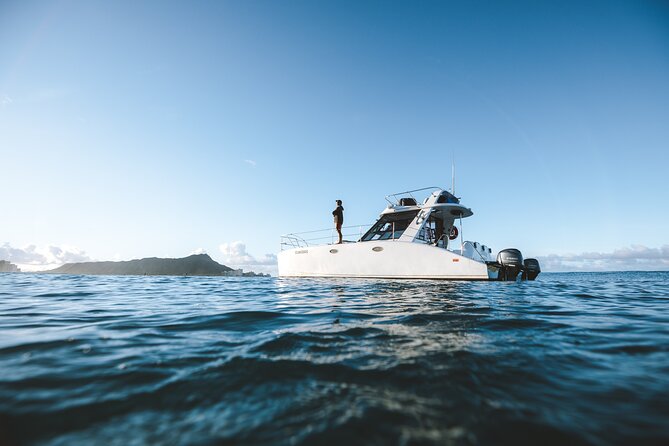 Private Whale Watching and Coastal Swimming Tour Honolulu - Whale watching during the winter migration
