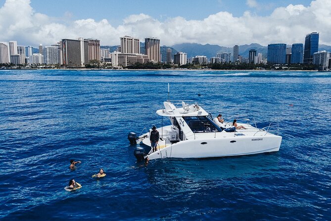Private Whale Watching and Coastal Swimming Tour Honolulu - Turtle snorkeling and a swim in the bay