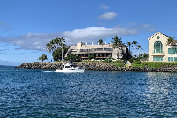 Private Whale Watching and Dolphin Excursion - Food, drinks, children, and practical comfort