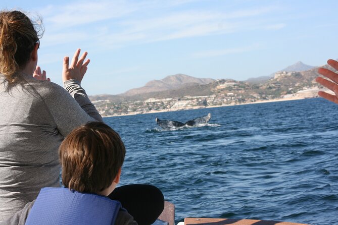 Private Whale Watching in San José del Cabo - Is $200 per person good value?