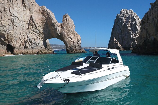 Private Whale Watching on Luxury Yacht in Cabo San Lucas - What the private format means for your group