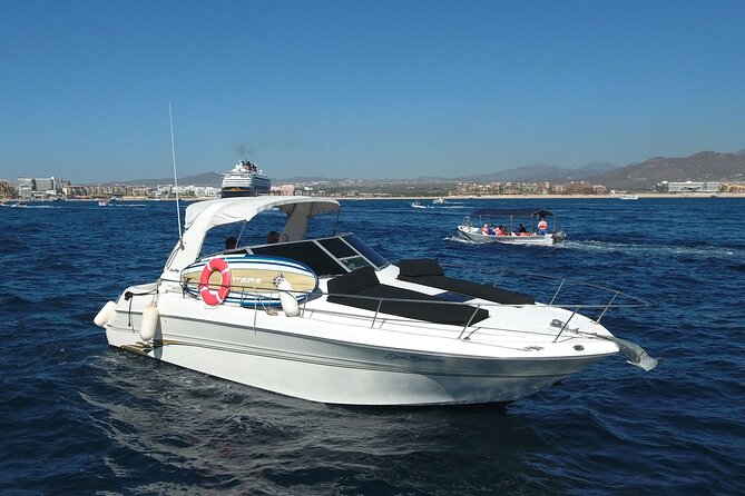 Private Whale Watching on Luxury Yacht in Cabo San Lucas - Drinks, food, and what is actually included