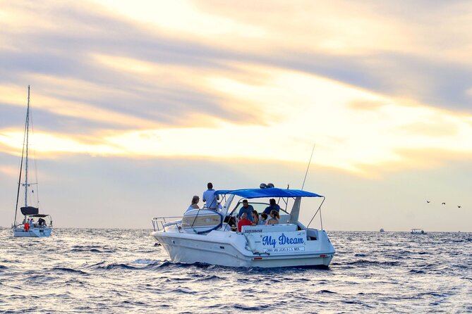 Private Whale Watching on Luxury Yacht in Cabo San Lucas - Timing, meeting point, and practical details