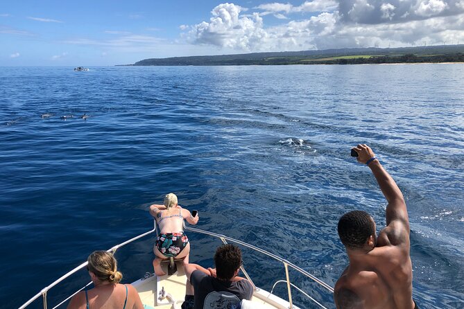 Private Whale Watching Safari from North Shore Oahu - Who gets the best value from $600