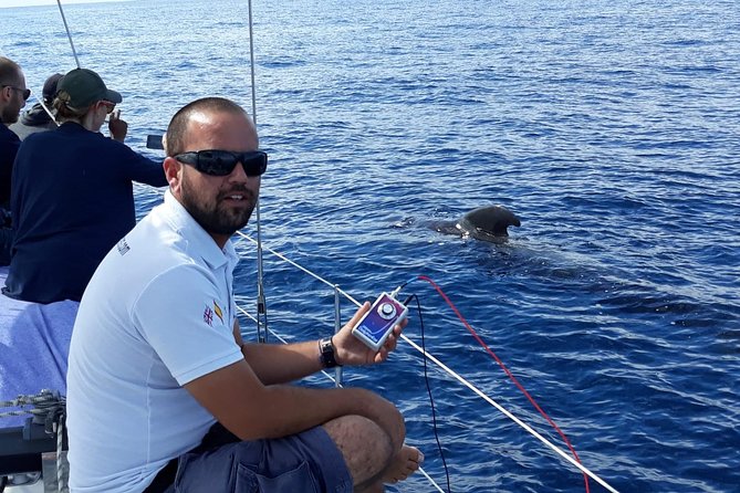 Private Yacht Tour With Whale and Dolphin Watching 42 Foot Boat - Who Will Enjoy This Cruise Most?