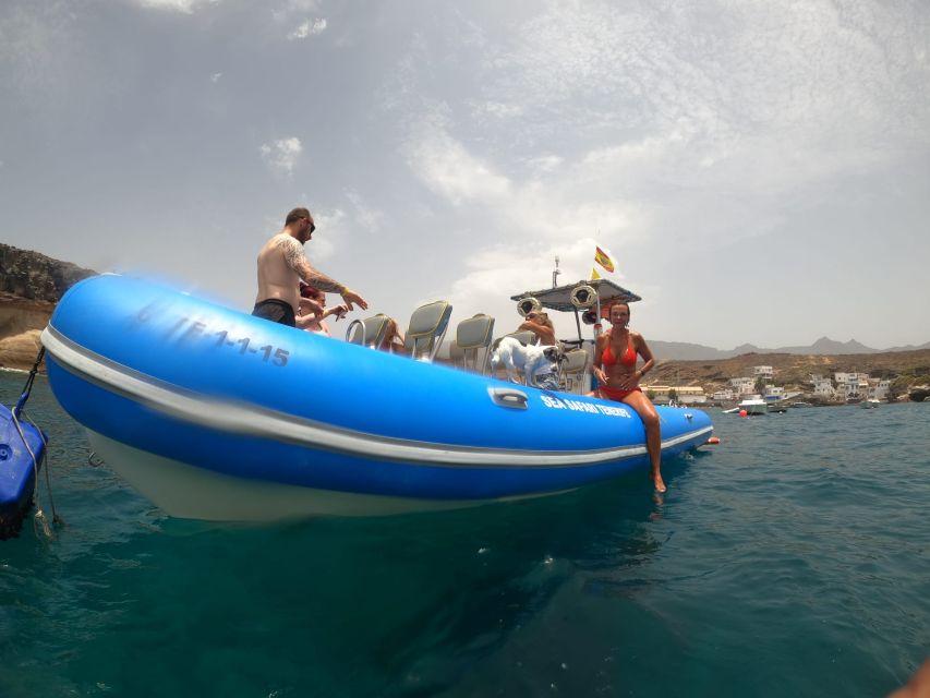Puerto Colon: Dolphin and Whale Watching Speedboat Cruise - Key points to know before you go