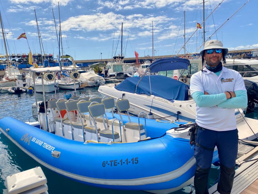 Puerto Colon: Dolphin and Whale Watching Speedboat Cruise - The speedboat ride and views from the water