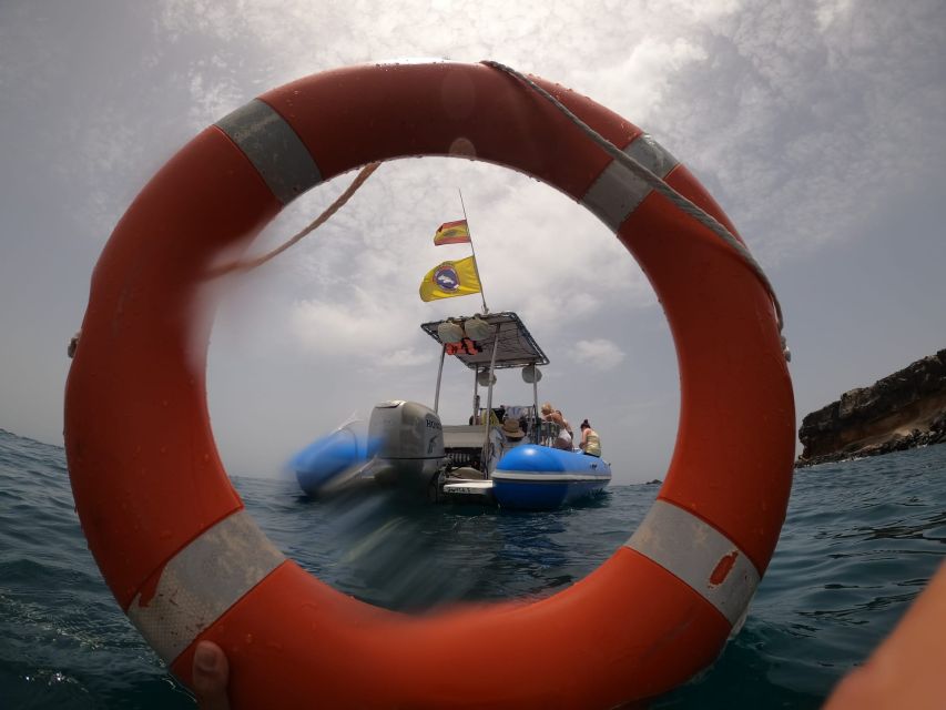 Puerto Colon: Dolphin and Whale Watching Speedboat Cruise - Sandwiches, drinks, and the simple onboard break