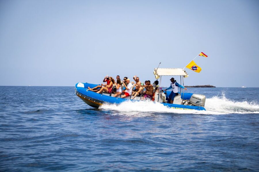 Puerto Colon: Dolphin and Whale Watching Speedboat Cruise - Why the small boat changes the experience