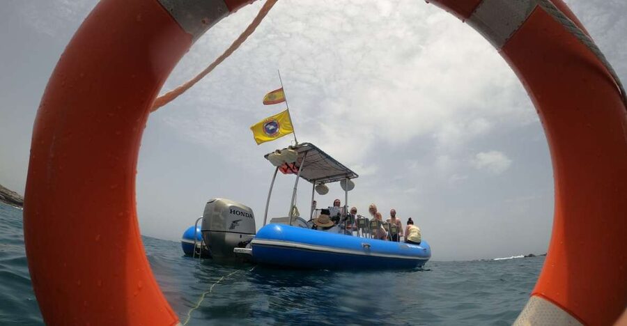 Puerto Colon: Dolphin and Whale Watching Speedboat Tour - Searching for Pilot Whales and Dolphins