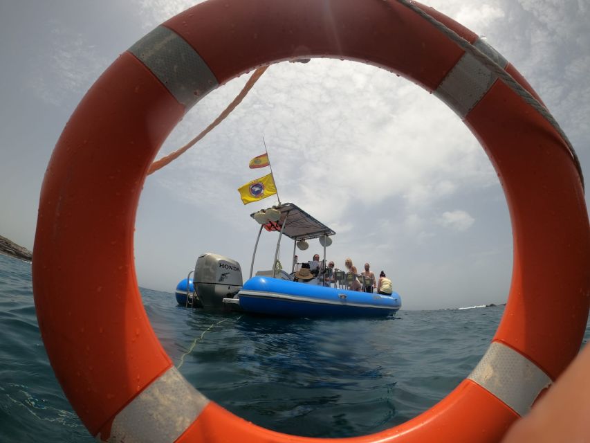 Puerto Colon: Dolphin and Whale Watching Speedboat Tour - Why the Small Group Matters