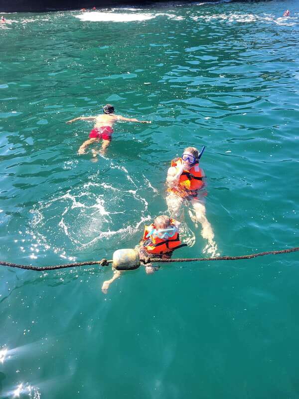 Puerto Vallarta: 3-Hour Whale Watching and Snorkeling - Beach stops, snorkeling, and the biggest mismatch