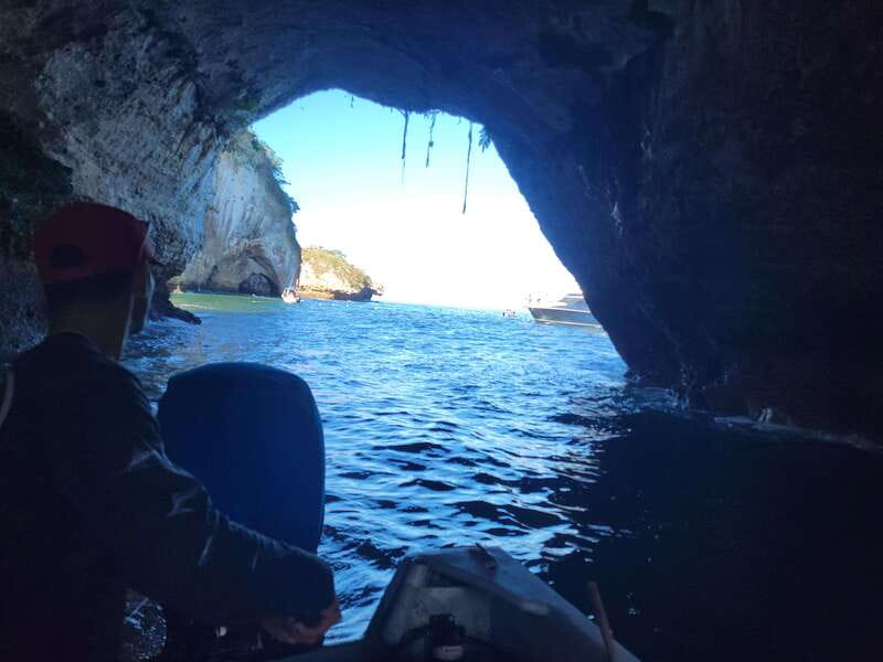 Puerto Vallarta: 3-Hour Whale Watching and Snorkeling - Guide service and what you can expect onboard