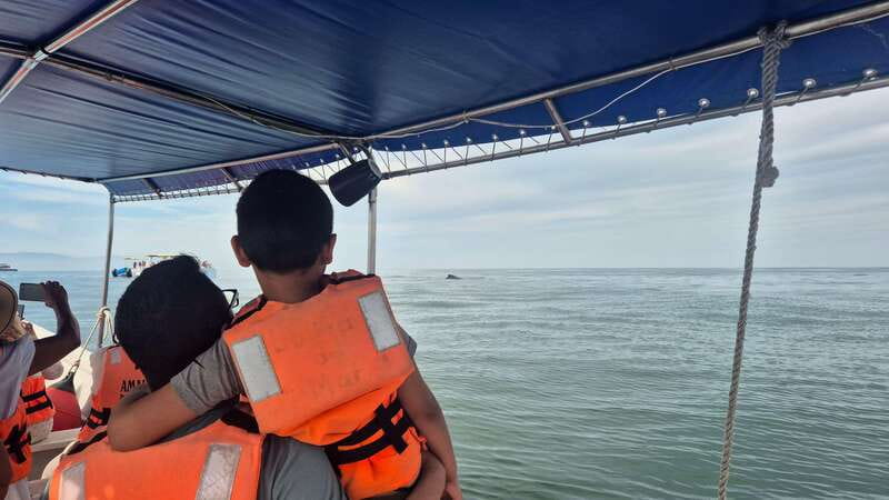 Puerto Vallarta: 3-Hour Whale Watching and Snorkeling - Who will enjoy this Puerto Vallarta boat trip