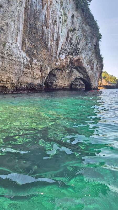 Puerto Vallarta: 3-Hour Whale Watching and Snorkeling - Should you book it?