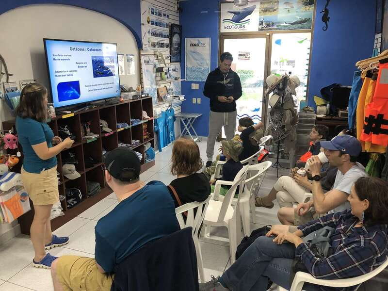 Puerto Vallarta: Humpback Whale Research Adventure Tour - Three hours across Banderas Bay
