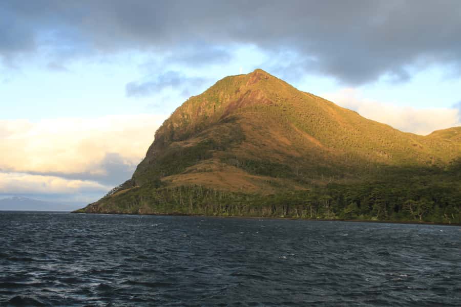 Punta Arenas: Full-Day Whales, Penguins, and Glaciers Tour - Penguins, sea lions, dolphins, and southern seabirds