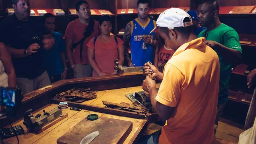 Punta Cana: Samana Full Day Trip Whale Cascada El Limon - Who should book this Samaná excursion?