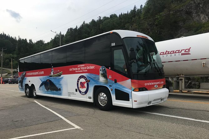 Québec City: Whale Watching Tour with Bus Transportation - Is $191.39 a fair price?