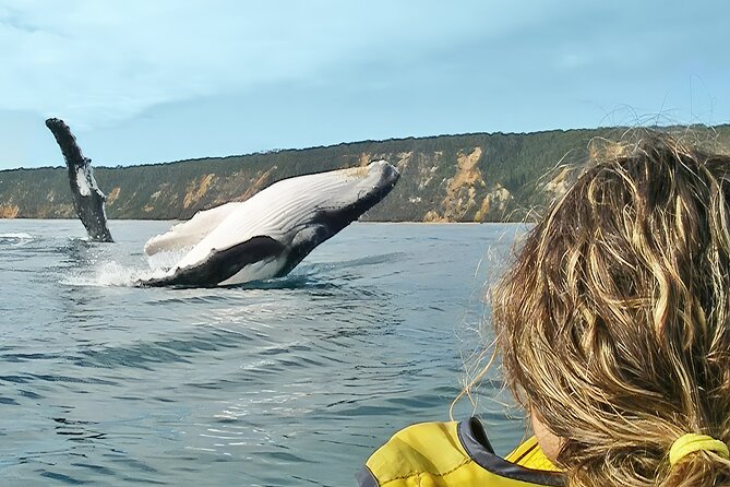 Rainbow Beach: Whale Watching Ocean Kayak Tour & Beach 4X4 - Key points before you book