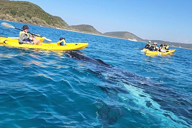 Rainbow Beach: Whale Watching Ocean Kayak Tour & Beach 4X4 - Starting in Rainbow Beach and crossing by 4WD