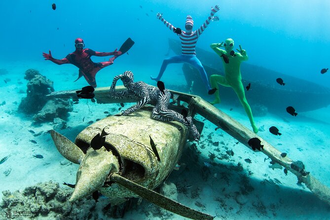 Respectful whale excursion to Tahiti in 4h30 - A respectful approach matters