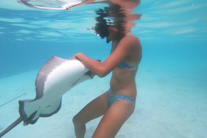 Respectful whale excursion to Tahiti in 4h30 - Should you book it?