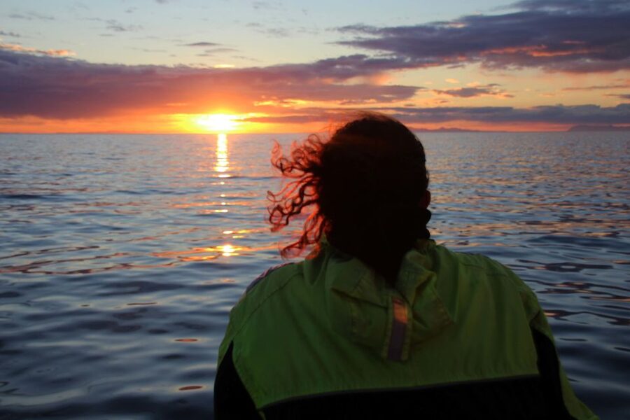 Reykjavík: Midnight Sun Whale Watching Cruise - Who should book this cruise?