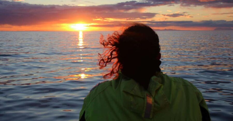 Reykjavík: Midnight Sun Whale Watching Cruise - Why a 9 PM departure makes this cruise special
