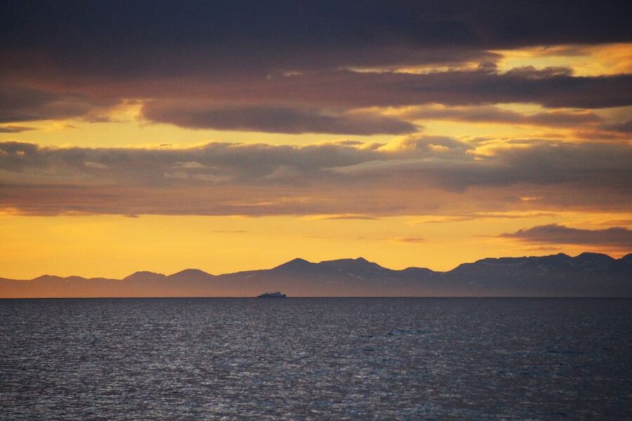 Reykjavík: Midnight Sun Whale Watching Cruise - Is $106 a fair price?