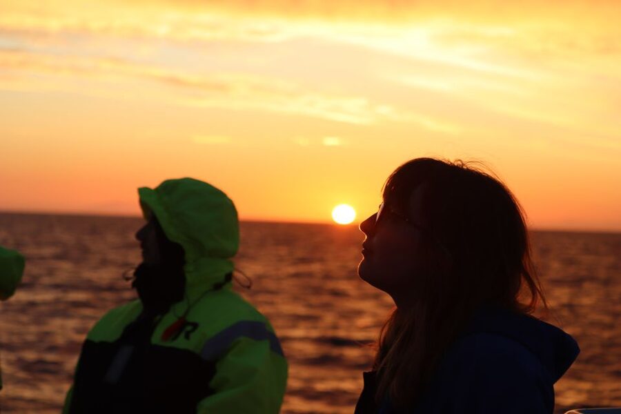Reykjavík: Midnight Sun Whale Watching Cruise - How to make the most of your evening