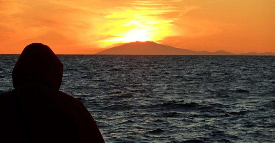 Reykjavik: Midnight Sun Whale Watching Tour - A Large Boat Built for Cold, Windy Water