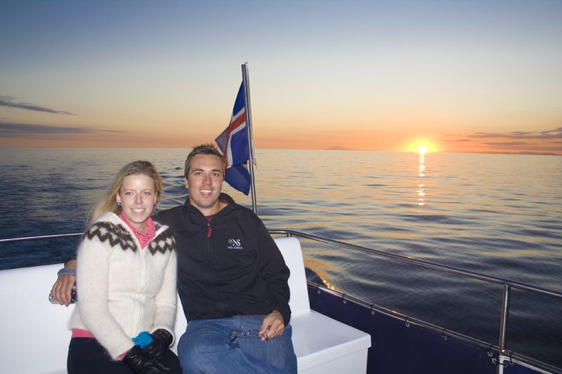 Reykjavik: Midnight Sun Whale Watching Tour - The Wildlife You Might See