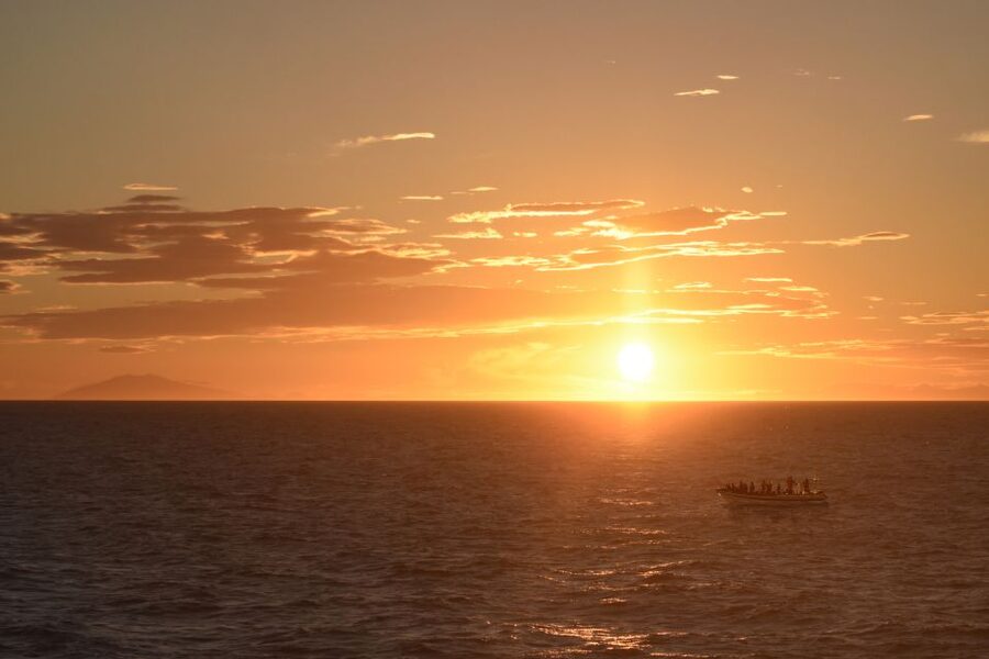 Reykjavik: Premium Whale and Puffin Watching Evening Tour - The RIB ride across Faxaflói Bay