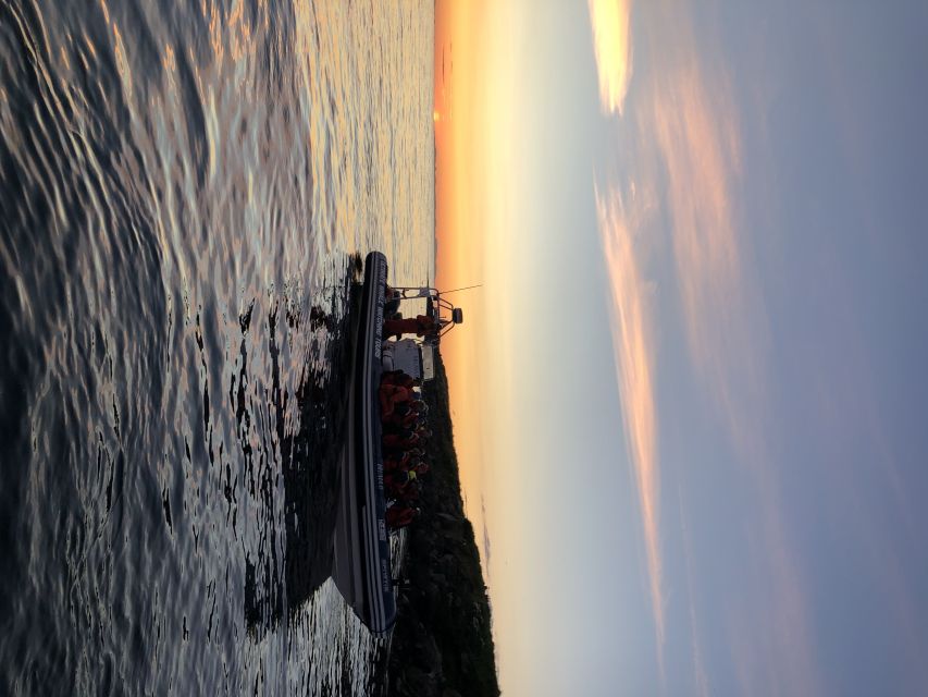 Reykjavik: Premium Whale and Puffin Watching Evening Tour - Is $200 a fair price?