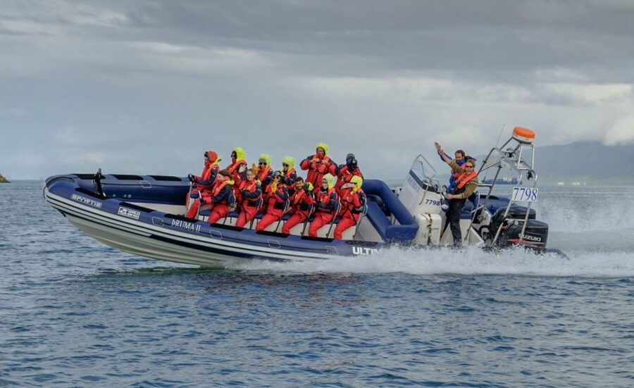 Reykjavik: Premium Whale Watching with Flexible Ticket - Key points to know before booking